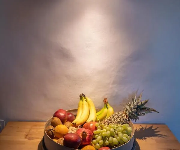 Anemoscope Windmill *