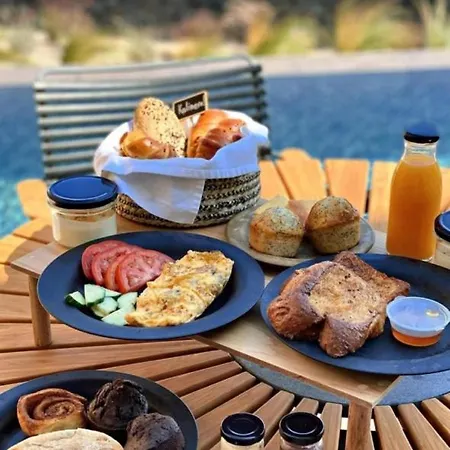 Anemoscope Windmill *