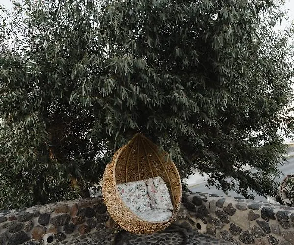 Anemoscope Windmill Vila *