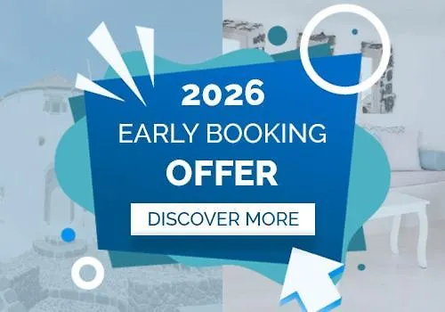 Vila Anemoscope Windmill *